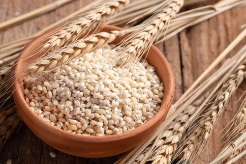 Barley