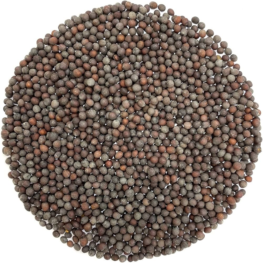 Mustard Seeds