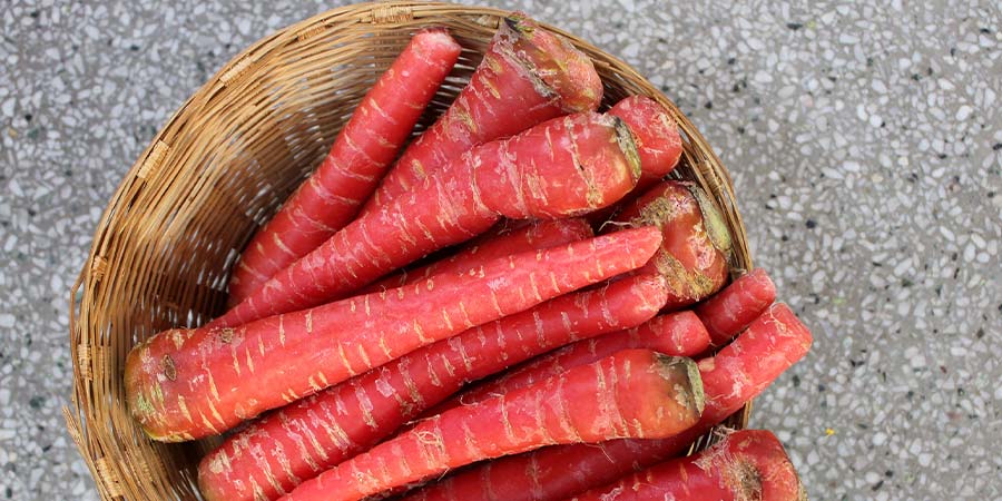 Carrot