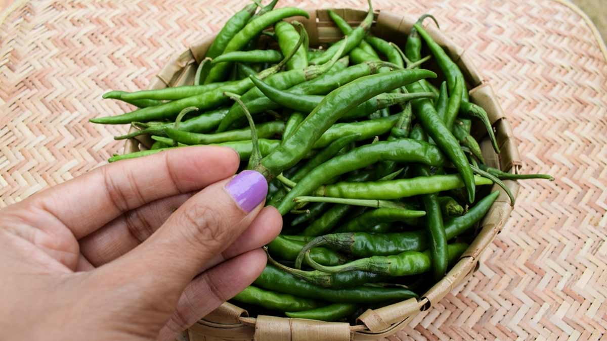 Green Chilli